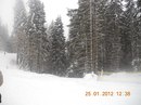 Міша Павловський фотография #8 (источник - https://vk.com/id142422571)