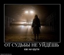 Дініс Петренко фотография #29 (источник - https://vk.com/id78079910)