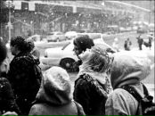 Фотография Moiseeva Anastasiya