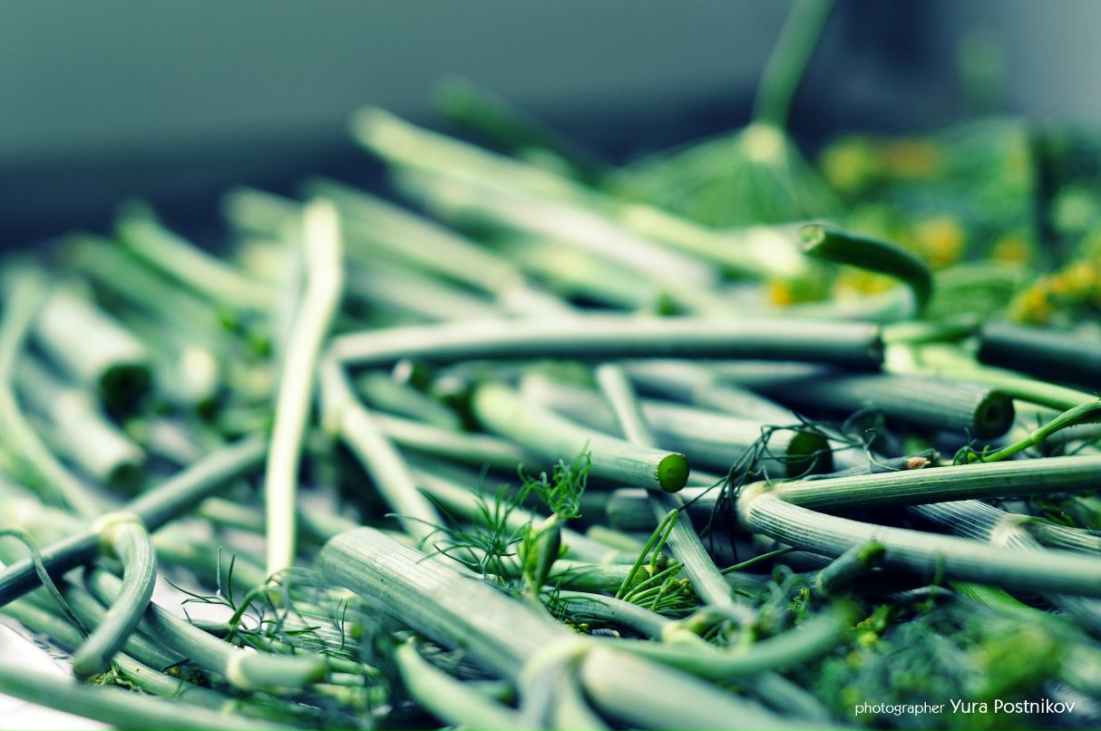 Юра Постников фотография #50