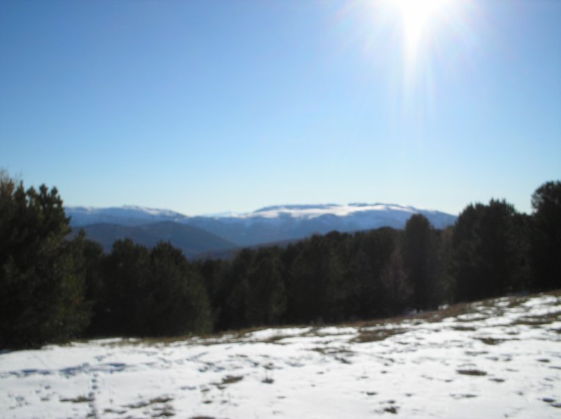 Антон Самаев фотография #10