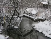 Мария Бильчук фотография #15 (источник - https://vk.com/id314305)