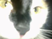 Фотография Зубков Михаил