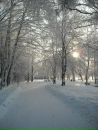Фотография Коврыжко Виктории