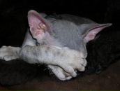 Фотография Демидов Егор