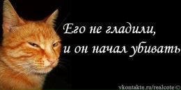 Женя Фенін фотография #19 (источник - https://vk.com/id135557609)