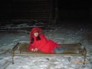 Фотография Танаевой Анастасии