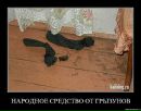 Дима Шелест фотография #39 (источник - https://vk.com/id21900923)