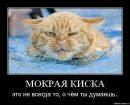 Дима Шелест фотография #46 (источник - https://vk.com/id21900923)