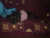 Валюня Кіс фотография #2 (источник - https://vk.com/id164202110)