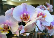 Фотография Большовой Натальи