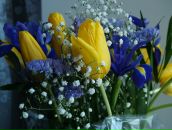 Фотография Хатыповой Аиды