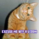 Нік Величко фотография #38 (источник - https://vk.com/id53114999)