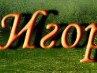 Ігор Томчані фотография #10 (источник - https://vk.com/id164771396)