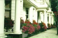 Галка Медалье фотография #7 (источник - https://vk.com/id302008)