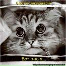 Фотография Чапаева Марата