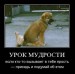  фотография #50