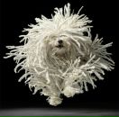 Фотография Новиковой Анны