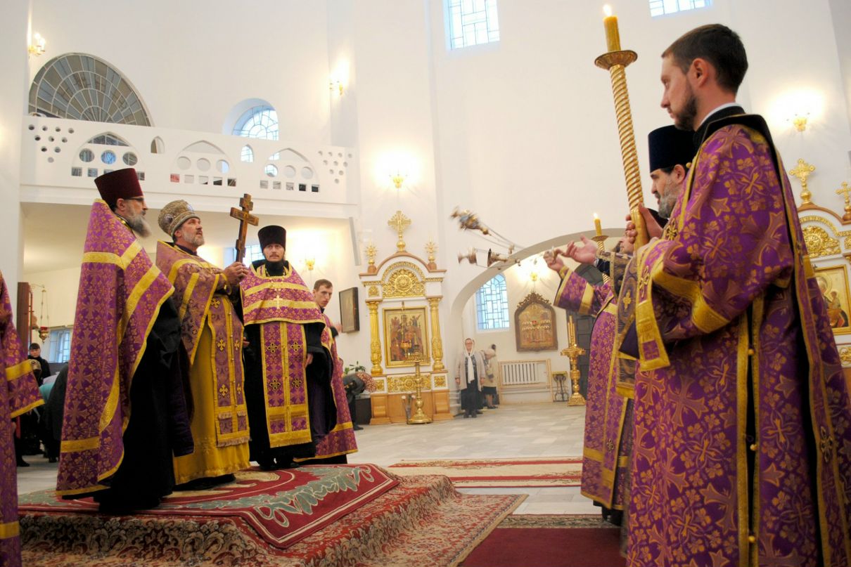 Александр Душенков фотография #4