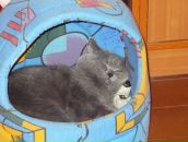 Фотография Нуховой Марины