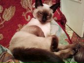 Фотография Савельевой Иришки