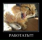 Фотография Румянцевой Натали