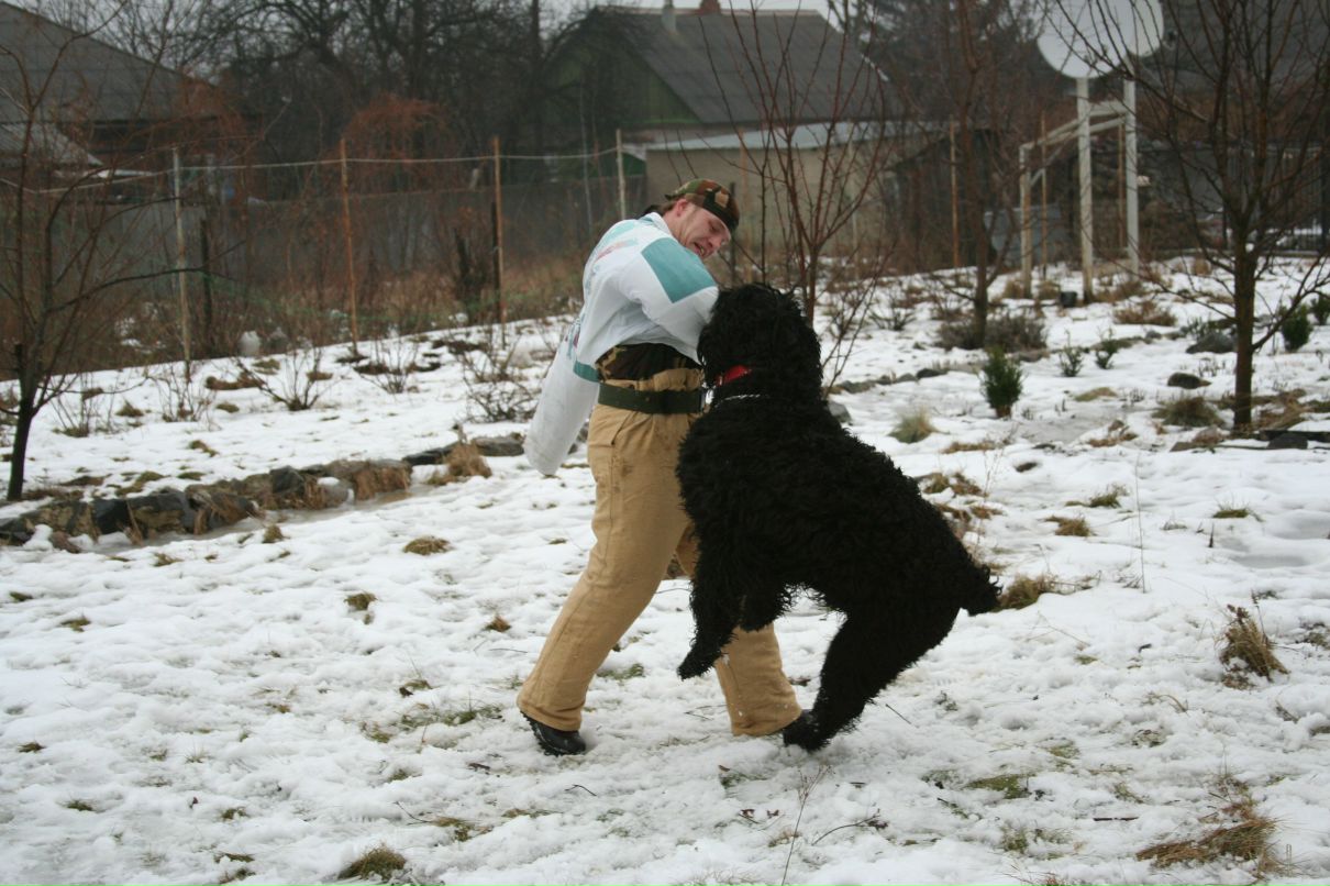 Сергей Пересунчак фотография #29