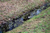 Ирина Бабенко фотография #34 (источник - https://vk.com/id2244513)