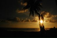 Фотография Дутчака Боди