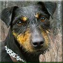 Ігор Кобець фотография #4 (источник - https://vk.com/id76593354)