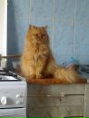 Фотография Александровны Оксаны