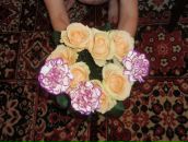 Віка Здерка фотография #17 (источник - https://vk.com/id111493556)