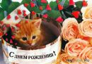 Іра Короляк фотография #4 (источник - https://vk.com/id166921340)