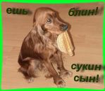 Фотография Костенко Сергея