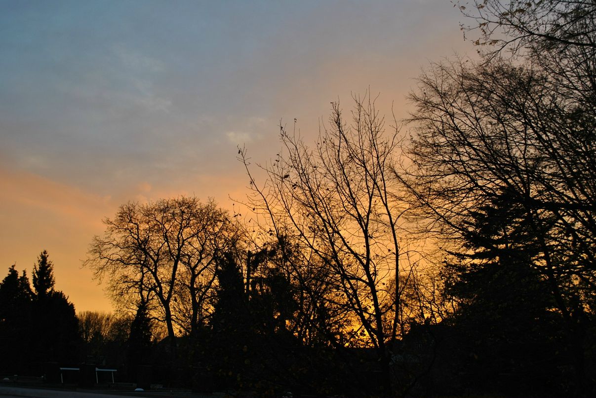 Dima .. фотография #33