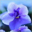 Фотография Поляковой Оксаны