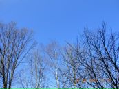 Фотография Рощина Алексея