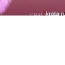 Олеся Вуйців фотография #24 (источник - https://vk.com/id74029763)