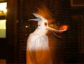 Жанна Чегодаева фотография #47 (источник - https://vk.com/id2659549)