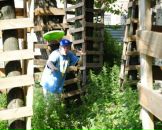 Фотография Ткачёва Жени