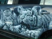 Фотография Полевого Виктора