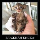 Таня Бігун фотография #27 (источник - https://vk.com/id69562567)