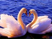 Фотография Рассказовой Светланы