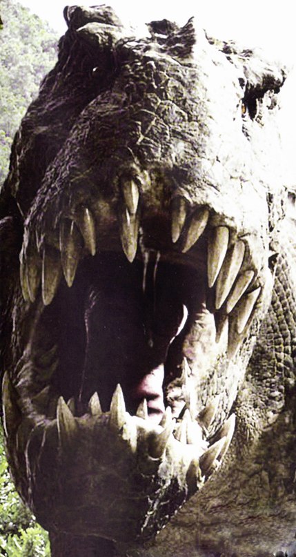 Виктор Дорофеев фотография #4