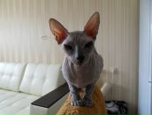 Фотография Друговой Марины