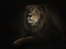 Іван Дорчак фотография #37 (источник - https://vk.com/id169142231)