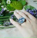 Сальвія Дівінорум фотография #30 (источник - https://vk.com/id14895811)