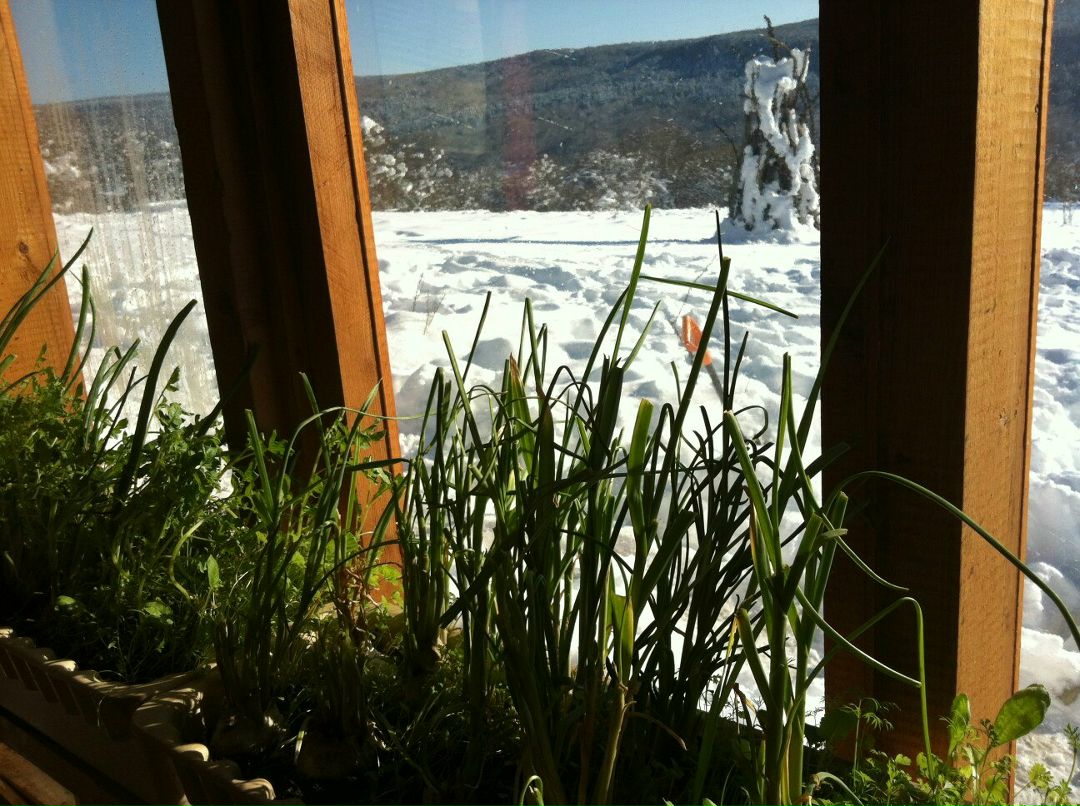 Дмитрий Нестеров фотография #34