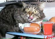 Євгеній Конотопенко фотография #50 (источник - https://vk.com/id70231724)