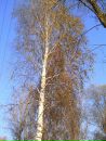 Віталій Сиваш фотография #14 (источник - https://vk.com/id153118805)